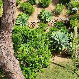 Apartment Elena Flat A Little Paradise Right On The